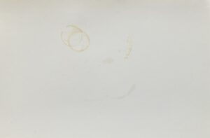 Spuren / Traces Lebens.Mittel