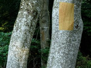 Land Art mit Erde